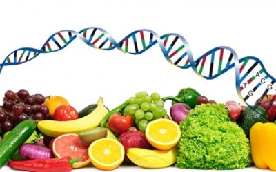 La nutrition du futur : l&rsquo;impact révolutionnaire de la diététique